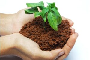 Os prós e contras de usar a água da chuva para o seu jardim 7 Leia mais sobre o artigo Os prós e contras de usar a água da chuva para o seu jardim