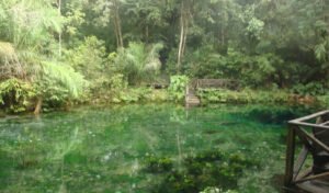 Leia mais sobre o artigo O que fazer no Balneário do Sol para um dia inesquecível?