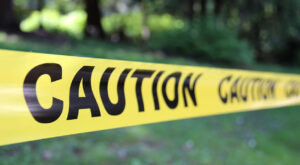 Direito Penal e Crimes Ambientais